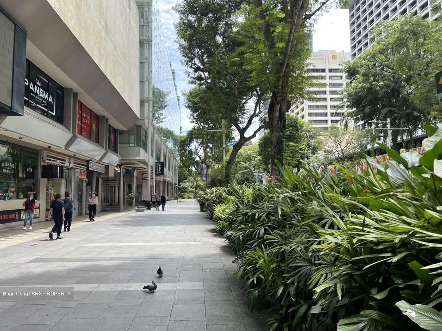 Orchard Towers (D9), Retail #591308851